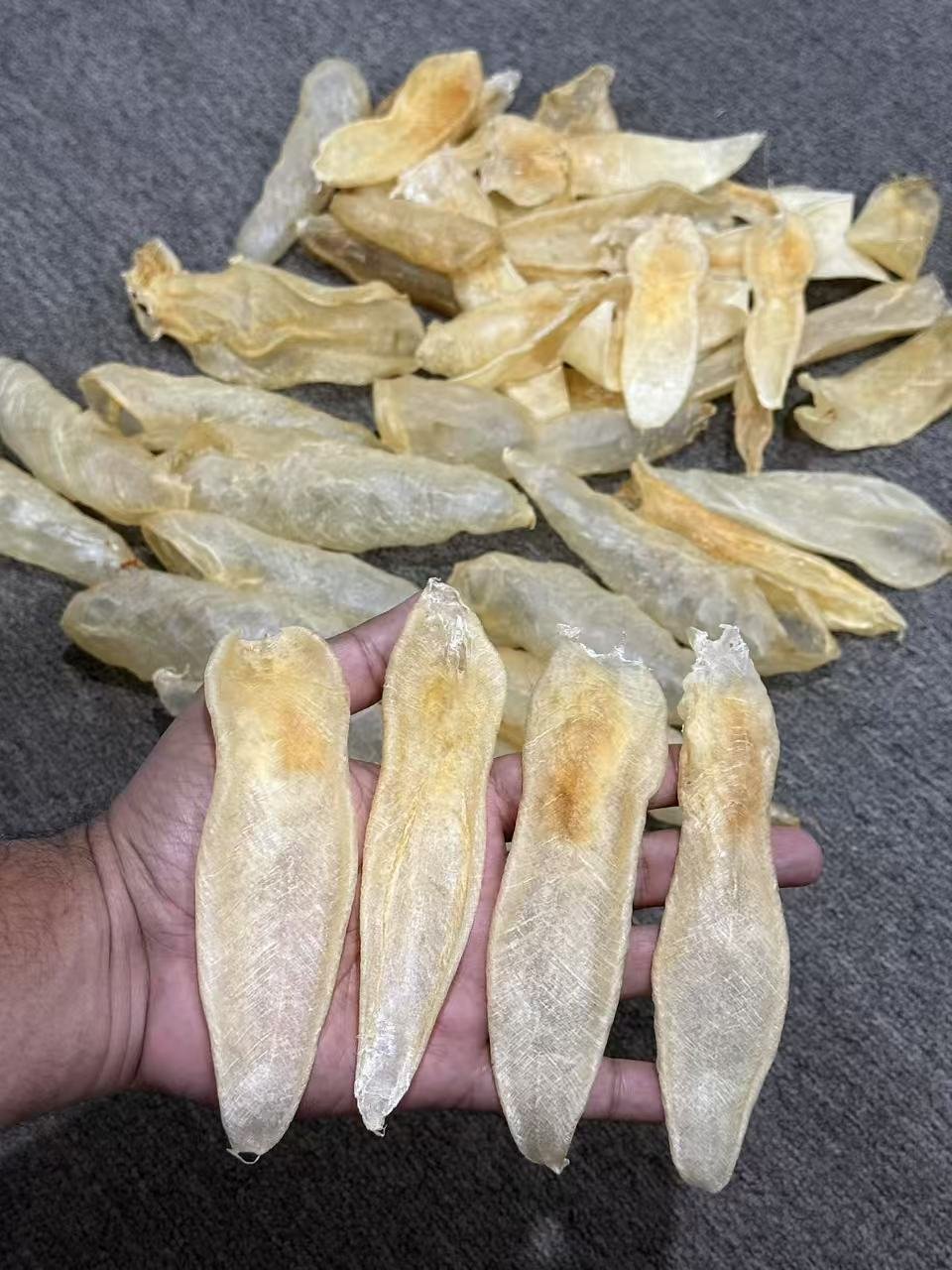 Image_20250123174837