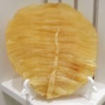 84193615_116668310066229_3275835955398836224_n