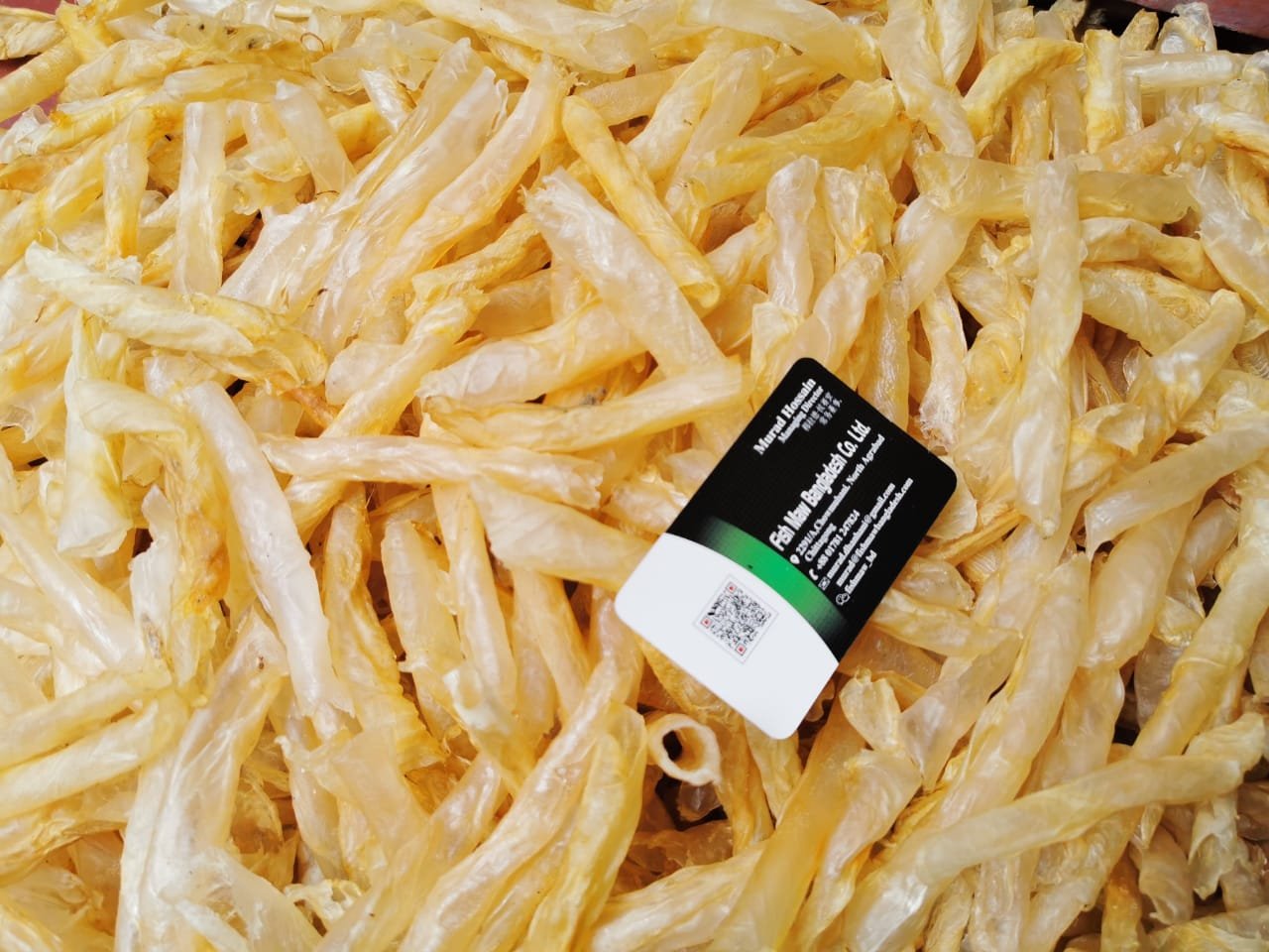 WhatsApp-Image-2019-11-07-at-12.47.44-PM