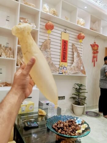 Classic T-shirt short sleeves