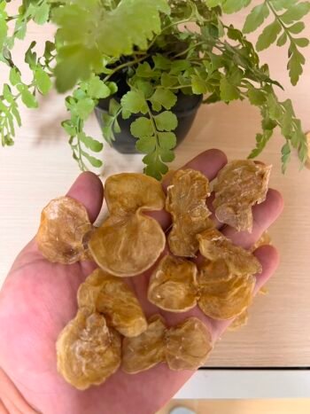 Yellow puffy dresses